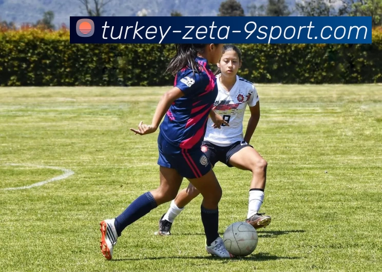 奥地利足球超级联赛精彩回顾与未来展望分析